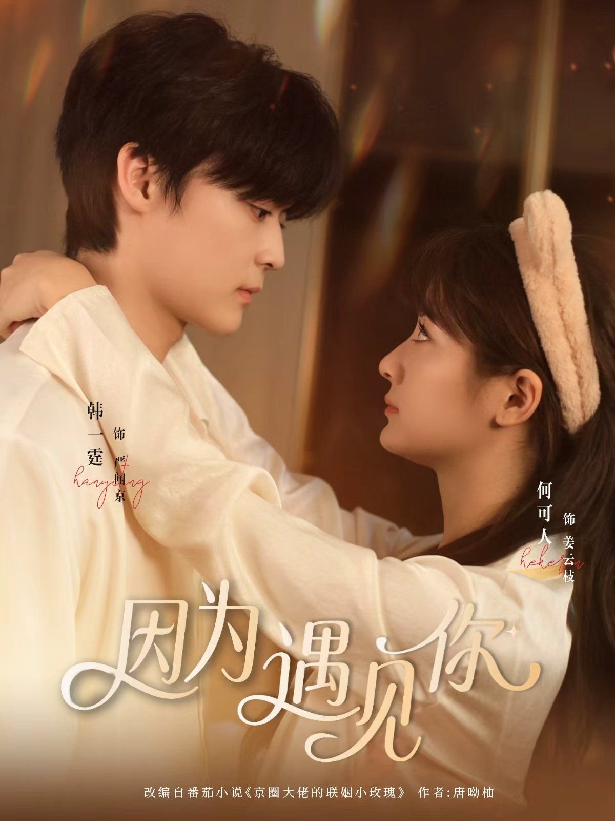 因为遇见你 电视剧 影院热映 大结局