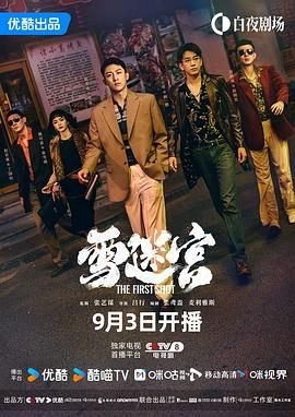 雪迷宫剧情分集介绍 口碑佳作 已完结
