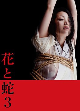 花与蛇3之白衣绳奴 免费播放 第二部