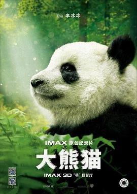 大熊猫视频 正在观看 原声版