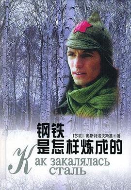 钢铁是怎样炼成的电视剧 影院热映 清晰版