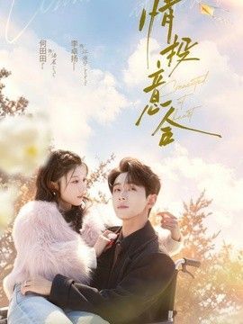 情投意合 热门推荐 粤语版